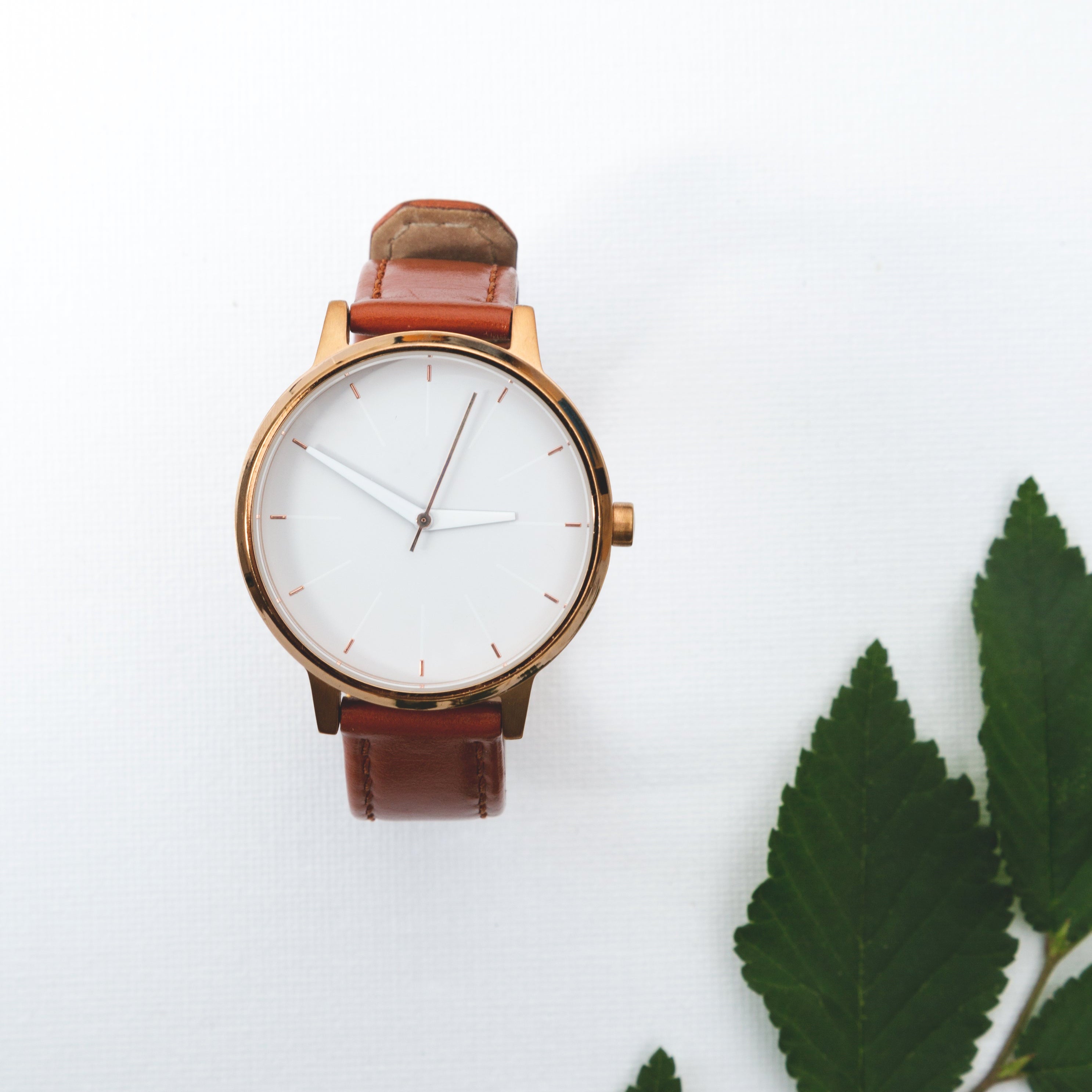 Brown leather watch